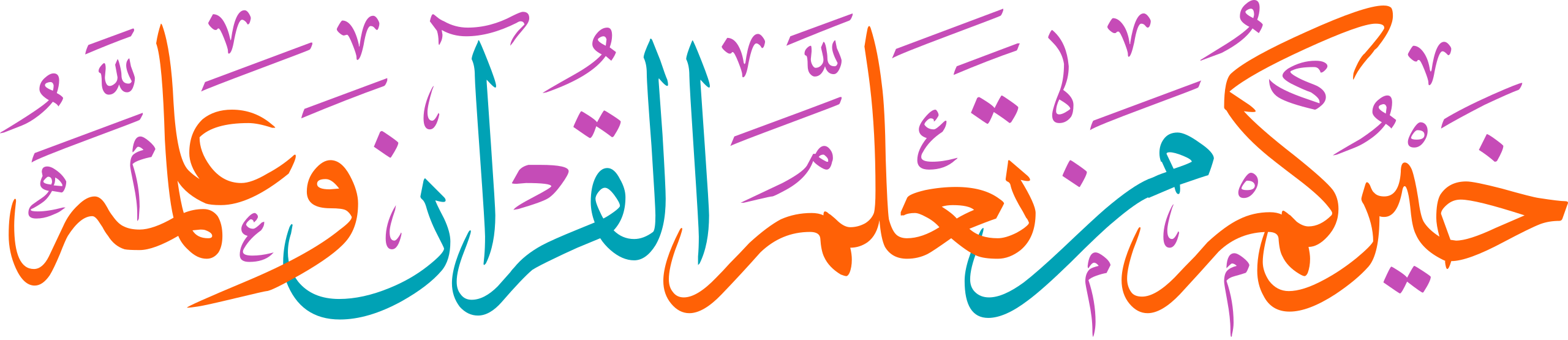 Divider Image